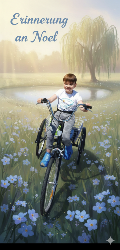 Noel -Erinnerung