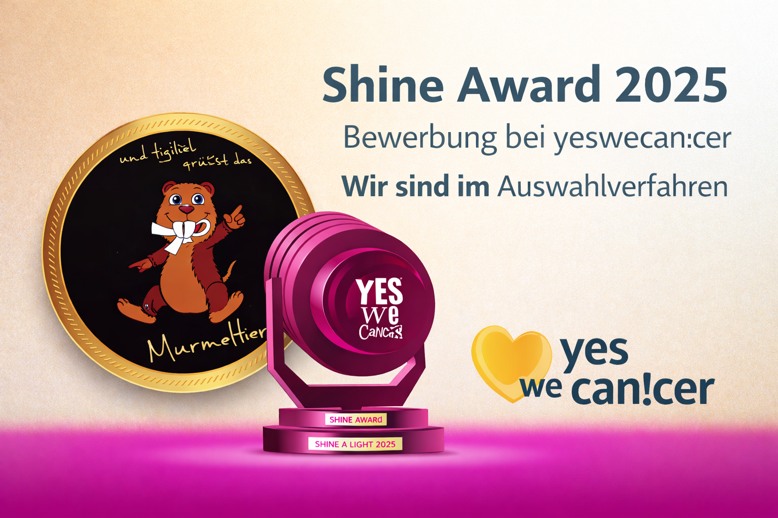 SHINE-AWARD von Yeswecancer - Auswahlverfahren